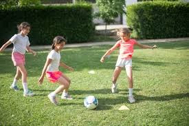 拉比奥特表态法国队认真备战