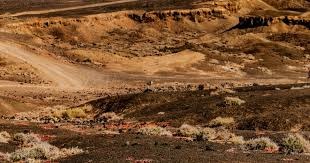 《全面战争：三国》在中国销售火爆